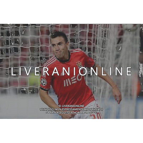 Nicolas Gaitan - 10.12.2013 - Benfica / Paris Saint Germain - Champions League Photo : Carlos Rodrigues / Icon Sport AG ALDO LIVERANI SAS ONLY ITALY