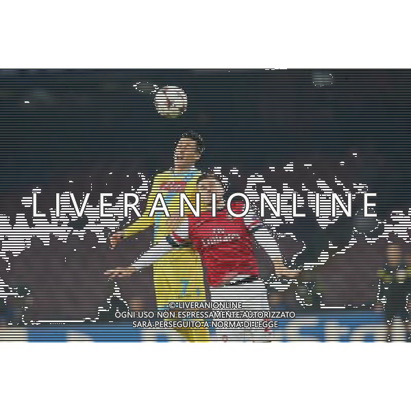 NAPOLI - ARSENAL CHAMPIONS LEAGUE 11 DICEMBRE 2013 NELLA FOTO: JENKINSON, CALLEJON ©MOSCA/AGENZIA ALDO LIVERANI SAS