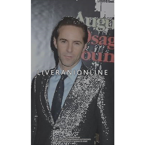 Alessandro Nivola attends the New York Premiere of \'August: Osage County\' on December 12, 2013 at the Ziegfeld Theatre in New York City. AG ALDO LIVERANI SAS ONLY ITALY