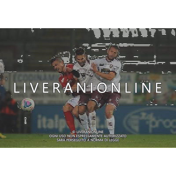 PERUGIA SALERNITANA LEGA PRO 13-12-2013 NELLA FOTO EUSEPI FOTO ROBERTO SETTONCE-AG ALDO LIVERANI SAS