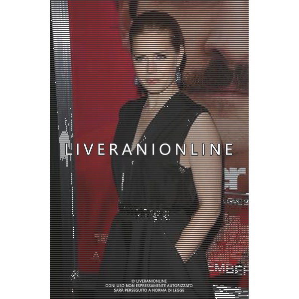 Amy Adams at the \'Her\' Los Angeles Premiere, Directors Guild Of America, Los Angeles, CA 12-12-13 AG ALDO LIVERANI SAS ONLY ITALY