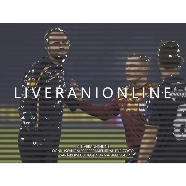 (131213) -- ZAGREB, December 13, 2013 () -- Josip Simunic of Dinamo Zagreb (L) grimaces during UEFA Europa League Group B soccer match against Ludogorets Razgrad at the Maksimir Stadium in Zagreb, Croatia, December 12, 2013. Ludogorets Razgrad won 2-1. (/Miso Lisanin)(yt) AG ALDO LIVERANI SAS ONLY ITALY