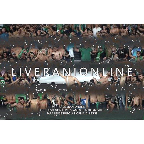(131215) -- AGADIR, Dec. 15, 2013 () -- Fans of Morocco\'s Raja Casablanca cheer during the match against Mexico\'s CF Monterrey at the FIFA\'s 2013 Club World Cup soccer match in Agadir, Morocco, Dec. 14, 2013. Raja Casablanca won the match 2-1. (/Guo Yong) ©PHOTOSHOT/AGENZIA ALDO LIVERANI SAS - ITALY ONLY - EDITORIAL USE ONLY