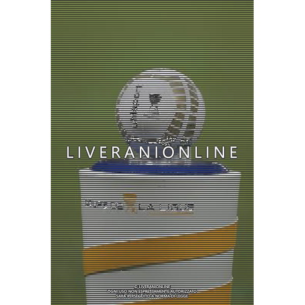 ILLUSTRATION COUPE DE LA LIGUE - 17.12.2013 - Nantes / Auxerre - 1/8Finale Coupe de la Ligue Photo : Vincent Michel / Icon Sport AG ALDO LIVERANI SAS ONLY ITALY