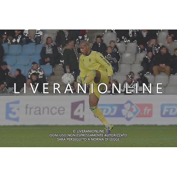 Johan AUDEL - 17.12.2013 - Nantes / Auxerre - 1/8Finale Coupe de la Ligue Photo : Vincent Michel / Icon Sport AG ALDO LIVERANI SAS ONLY ITALY