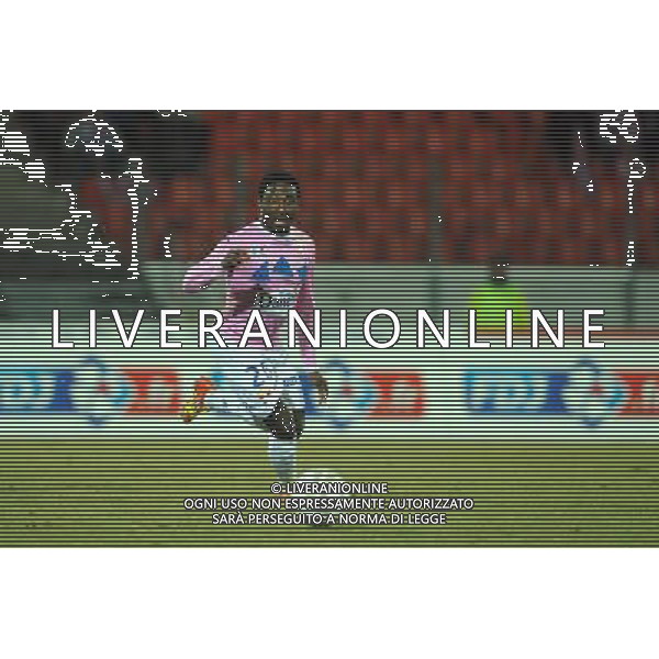 Brice DJADJEDJE - 18.12.2013 - Evian Thonon / Bastia - 1/8Finale de Coupe de la Ligue Photo : Jean Paul Thomas / Icon Sport AG ALDO LIVERANI SAS ONLY ITALY