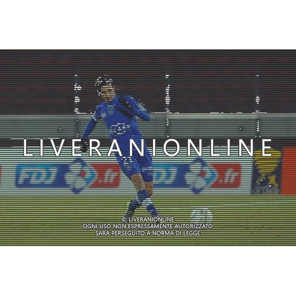 Fethi HAREK - 18.12.2013 - Evian Thonon / Bastia - 1/8Finale de Coupe de la Ligue Photo : Jean Paul Thomas / Icon Sport AG ALDO LIVERANI SAS ONLY ITALY