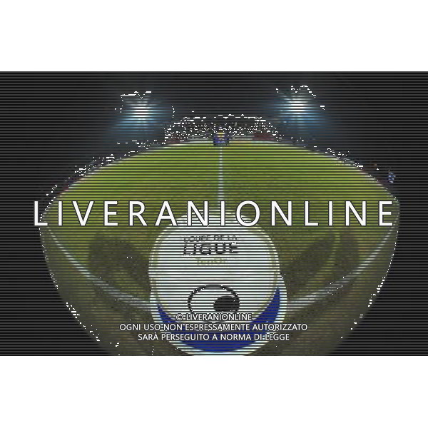 Illustration Coupe de la Ligue - 18.12.2013 - Evian Thonon / Bastia - 1/8Finale de Coupe de la Ligue Photo : Jean Paul Thomas / Icon Sport AG ALDO LIVERANI SAS ONLY ITALY