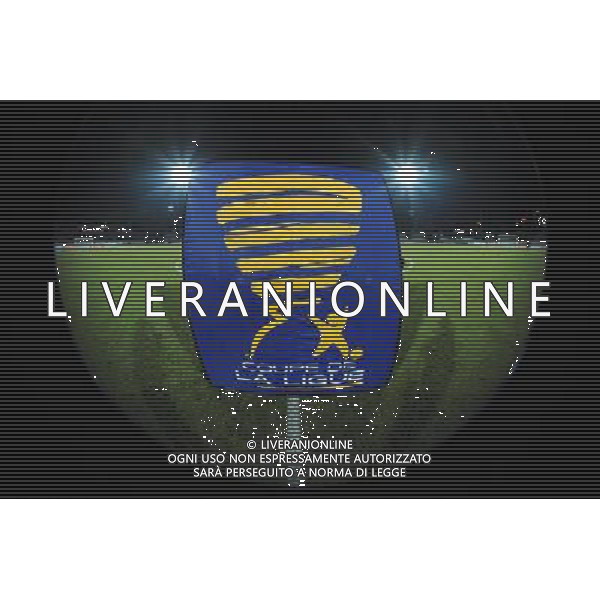 Illustration Coupe de la Ligue - 18.12.2013 - Evian Thonon / Bastia - 1/8Finale de Coupe de la Ligue Photo : Jean Paul Thomas / Icon Sport AG ALDO LIVERANI SAS ONLY ITALY