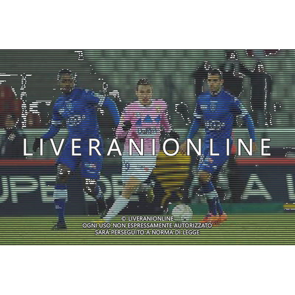 Marco RUBEN - 18.12.2013 - Evian Thonon / Bastia - 1/8Finale de Coupe de la Ligue Photo : Jean Paul Thomas / Icon Sport AG ALDO LIVERANI SAS ONLY ITALY