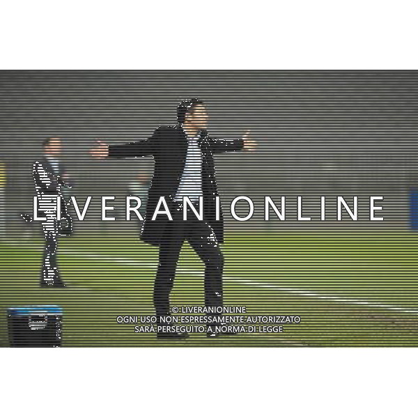 Hubert FOURNIER - 18.12.2013 - Lyon / Reims - 1/8Finale - Coupe de la Ligue Photo : Jean Paul Thomas / Icon Sport *** Local Caption *** AG ALDO LIVERANI SAS ONLY ITALY *** Local Caption *** AG ALDO LIVERANI SAS ONLY ITALY