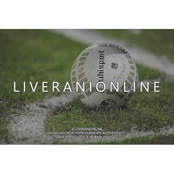 Illustration ballon - 18.12.2013 - Lyon / Reims - 1/8Finale - Coupe de la Ligue Photo : Jean Paul Thomas / Icon Sport *** Local Caption *** AG ALDO LIVERANI SAS ONLY ITALY *** Local Caption *** AG ALDO LIVERANI SAS ONLY ITALY