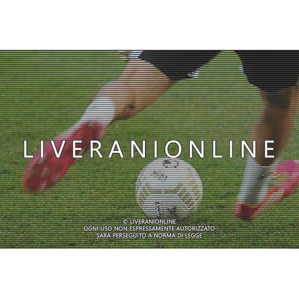 Illustration - 18.12.2013 - Lyon / Reims - 1/8Finale - Coupe de la Ligue Photo : Jean Paul Thomas / Icon Sport *** Local Caption *** AG ALDO LIVERANI SAS ONLY ITALY *** Local Caption *** AG ALDO LIVERANI SAS ONLY ITALY