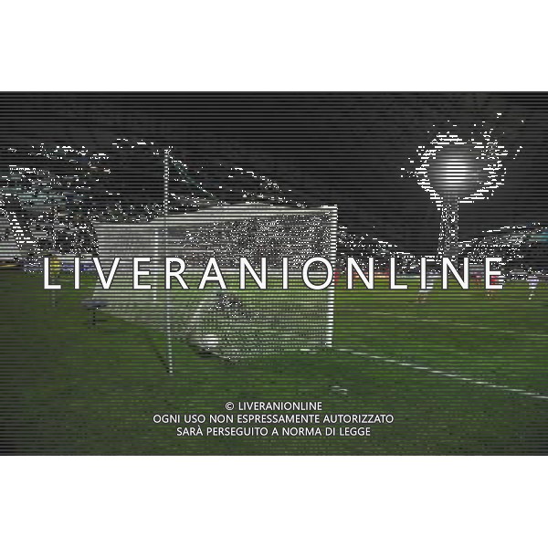 Goal Andre Pierre GIGNAC - 18.12.2013 - Marseille / Toulouse - 1/8Finale Coupe de la Ligue - Photo : Gaston Petrelli / Icon Sport AG ALDO LIVERANI SAS ONLY ITALY