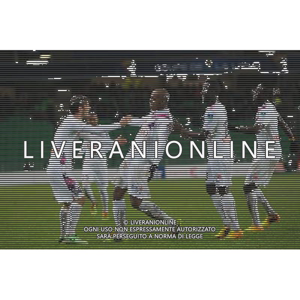 JOIE HENRIQUE - 18.12.2013 - Rennes / Bordeaux - 1/8Finale de Coupe de la Ligue - Photo : Vincent Michel / Icon Sport AG ALDO LIVERANI SAS ONLY ITALY