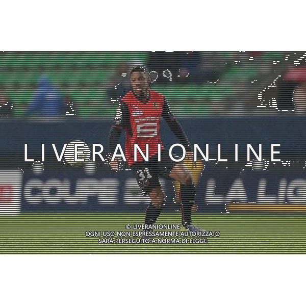 Steven MOREIRA - 18.12.2013 - Rennes / Bordeaux - 1/8Finale de Coupe de la Ligue - Photo : Vincent Michel / Icon Sport AG ALDO LIVERANI SAS ONLY ITALY