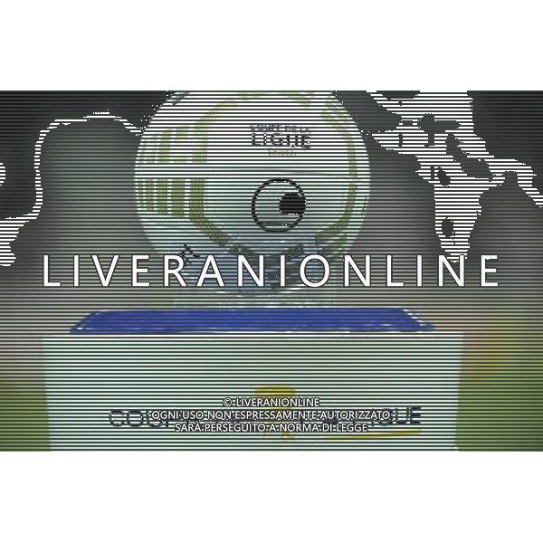 Illustration ballon - 18.12.2013 - Nice / Sochaux - 1/8Finale Coupe de la Ligue Photo : Olivier Anrigo / Icon Sport AG ALDO LIVERANI SAS ONLY ITALY
