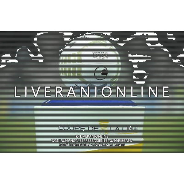 Illustration ballon - 18.12.2013 - Nice / Sochaux - 1/8Finale Coupe de la Ligue Photo : Olivier Anrigo / Icon Sport AG ALDO LIVERANI SAS ONLY ITALY