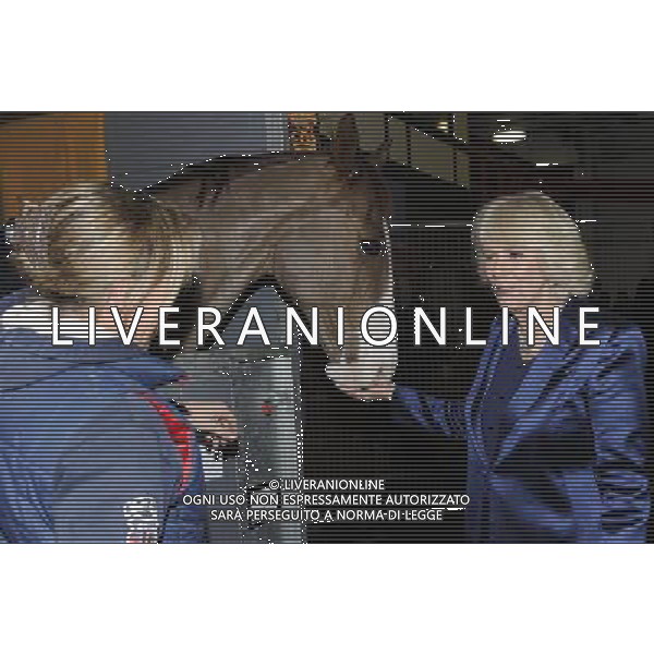 LONDON, UNITED KINGDOM - DECEMBER 19: Camilla, Duchess of Cornwall attends The London International Horse show at Olympia Exhibition Centre on December 19, 2013 in London, England. ©PHOTOSHOT/AGENZIA ALDO LIVERANI SAS - ITALY ONLY - EDITORIAL USE ONLY - REALI INGLESI: Camilla Duchessa di Cornovaglia alla mostra internazionale di cavalli all\'Olympia Exhibition Centre a Londra, Inghilterra 19 dicembre 2013