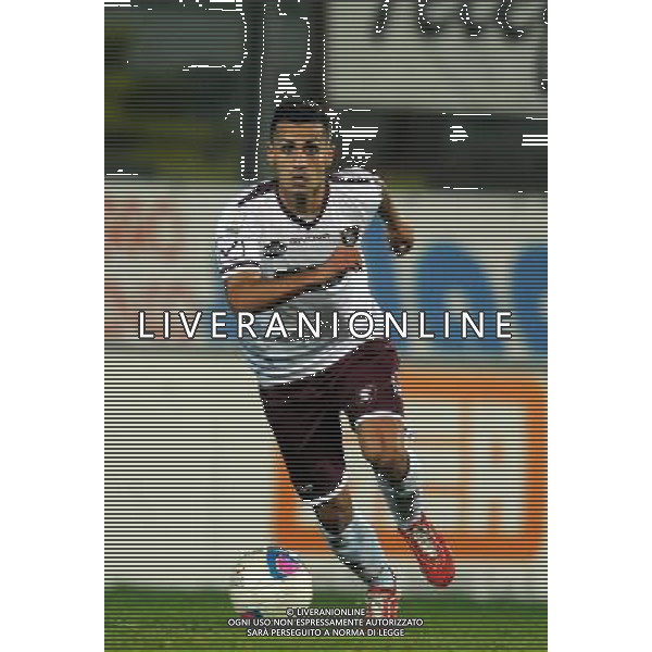 SALERNITANA CALCIO 2013-14 NELLA FOTO CAPUA GIUSEPPE FOTO ROBERTO SETTONCE-AG ALDO LIVERANI SAS