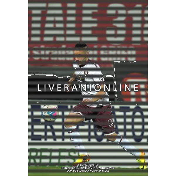 SALERNITANA CALCIO 2013-14 NELLA FOTO LUCIANI ALESSIO FOTO ROBERTO SETTONCE-AG ALDO LIVERANI SAS