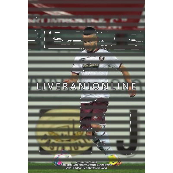 SALERNITANA CALCIO 2013-14 NELLA FOTO LUCIANI ALESSIO FOTO ROBERTO SETTONCE-AG ALDO LIVERANI SAS