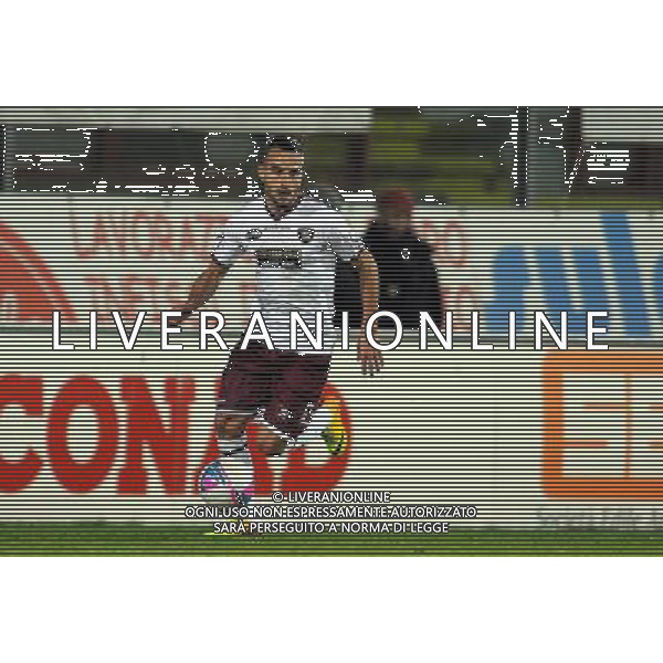 SALERNITANA CALCIO 2013-14 NELLA FOTO LUCIANI ALESSIO FOTO ROBERTO SETTONCE-AG ALDO LIVERANI SAS
