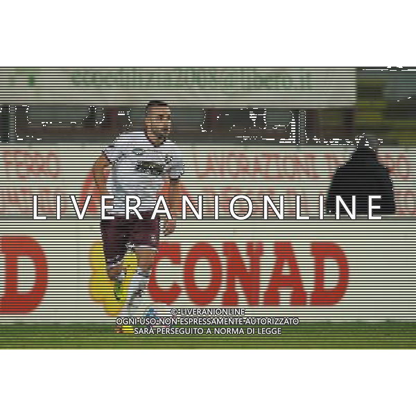 SALERNITANA CALCIO 2013-14 NELLA FOTO LUCIANI ALESSIO FOTO ROBERTO SETTONCE-AG ALDO LIVERANI SAS