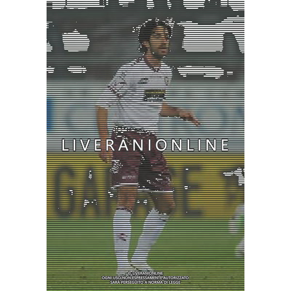 SALERNITANA CALCIO 2013-14 NELLA FOTO MANCINI MANUEL FOTO ROBERTO SETTONCE-AG ALDO LIVERANI SAS
