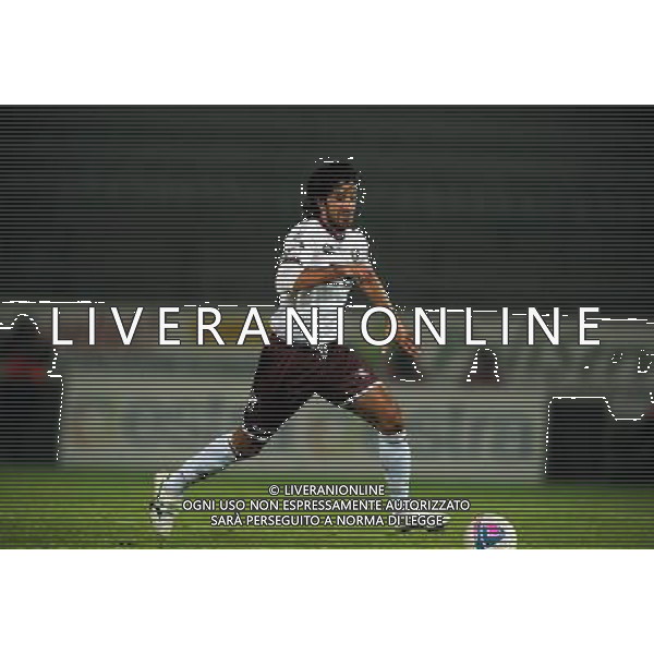 SALERNITANA CALCIO 2013-14 NELLA FOTO MANCINI MANUEL FOTO ROBERTO SETTONCE-AG ALDO LIVERANI SAS
