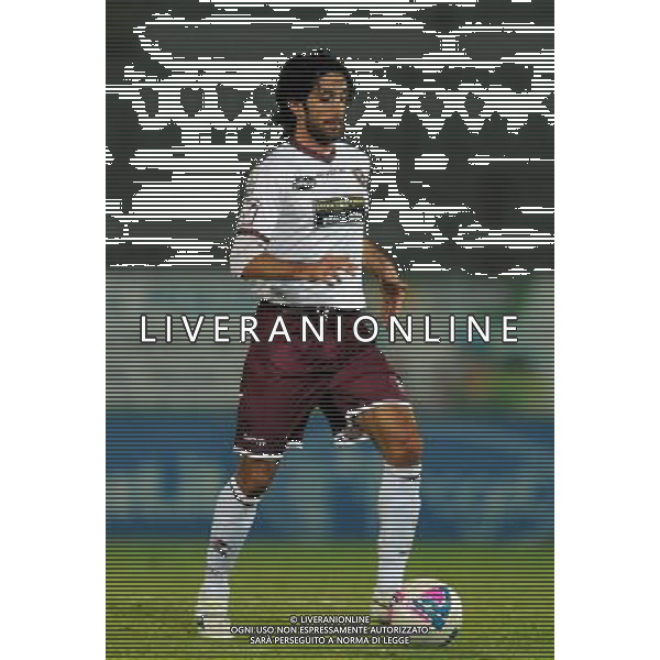 SALERNITANA CALCIO 2013-14 NELLA FOTO MANCINI MANUEL FOTO ROBERTO SETTONCE-AG ALDO LIVERANI SAS