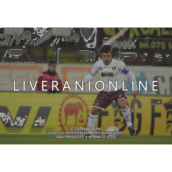 SALERNITANA CALCIO 2013-14 NELLA FOTO MONTERVINO FRANCESCO FOTO ROBERTO SETTONCE-AG ALDO LIVERANI SAS
