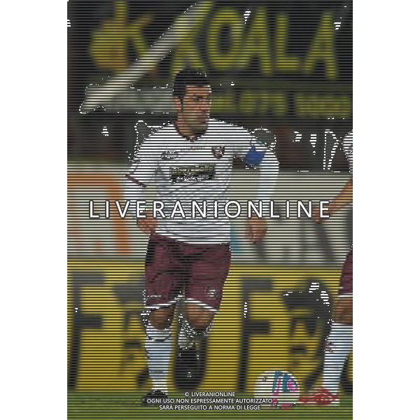 SALERNITANA CALCIO 2013-14 NELLA FOTO MONTERVINO FRANCESCO FOTO ROBERTO SETTONCE-AG ALDO LIVERANI SAS