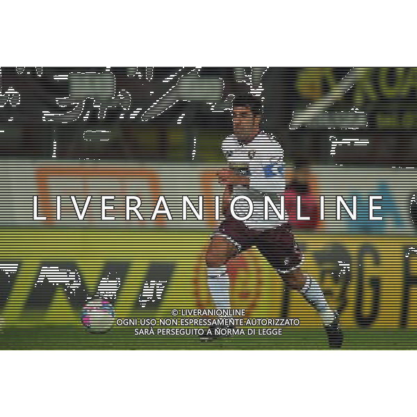 SALERNITANA CALCIO 2013-14 NELLA FOTO MONTERVINO FRANCESCO FOTO ROBERTO SETTONCE-AG ALDO LIVERANI SAS