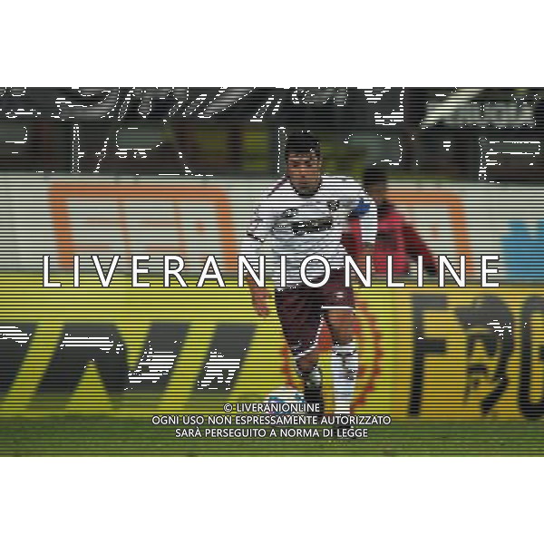 SALERNITANA CALCIO 2013-14 NELLA FOTO MONTERVINO FRANCESCO FOTO ROBERTO SETTONCE-AG ALDO LIVERANI SAS