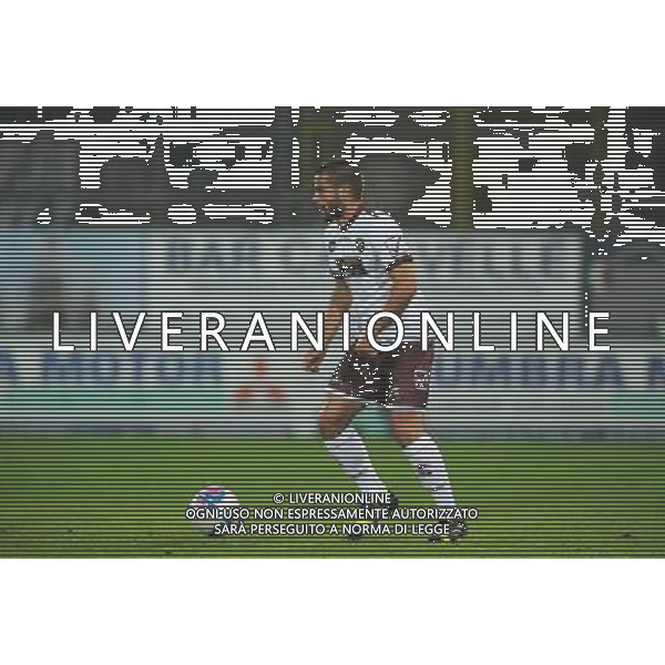 SALERNITANA CALCIO 2013-14 NELLA FOTO PERPETUINI RICCARDO FOTO ROBERTO SETTONCE-AG ALDO LIVERANI SAS