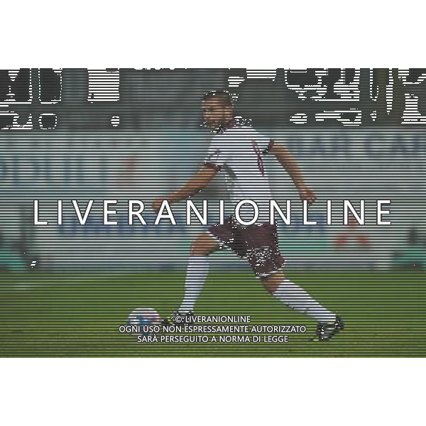 SALERNITANA CALCIO 2013-14 NELLA FOTO PERPETUINI RICCARDO FOTO ROBERTO SETTONCE-AG ALDO LIVERANI SAS