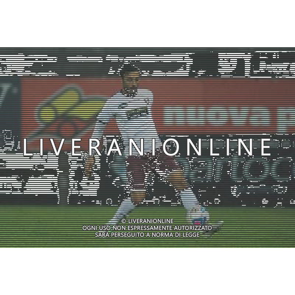 SALERNITANA CALCIO 2013-14 NELLA FOTO PIVA SIMONE FOTO ROBERTO SETTONCE-AG ALDO LIVERANI SAS