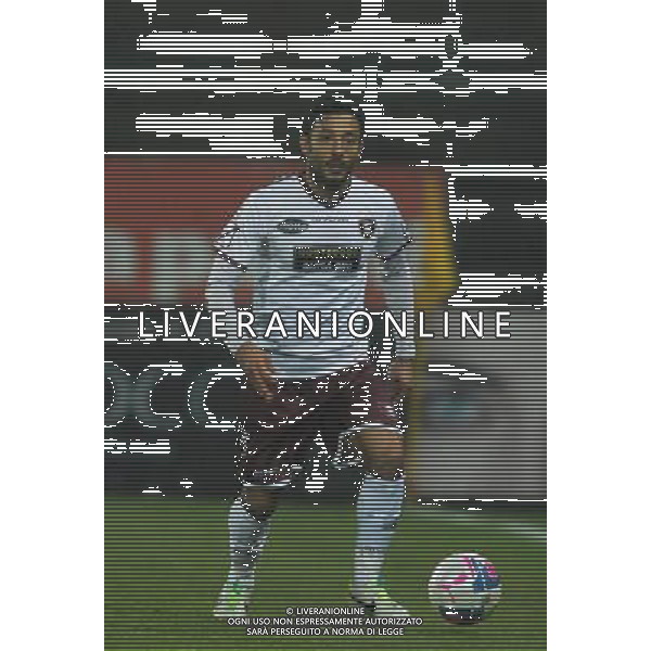 SALERNITANA CALCIO 2013-14 NELLA FOTO PIVA SIMONE FOTO ROBERTO SETTONCE-AG ALDO LIVERANI SAS