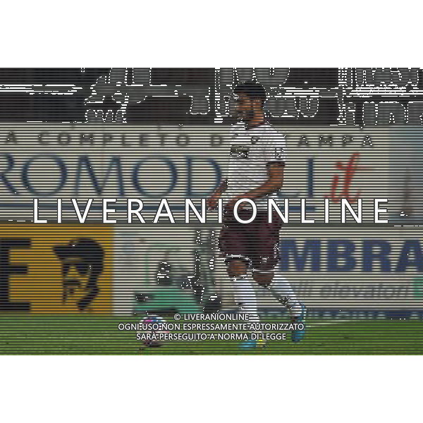 SALERNITANA CALCIO 2013-14 NELLA FOTO TUIA ALESSANDRO FOTO ROBERTO SETTONCE-AG ALDO LIVERANI SAS