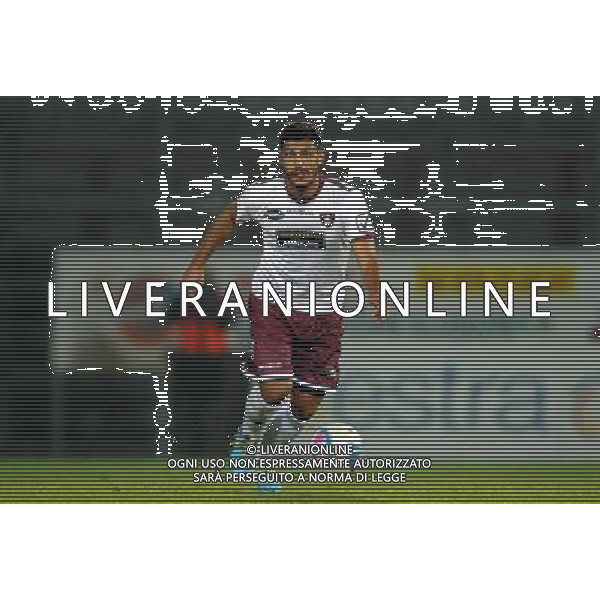SALERNITANA CALCIO 2013-14 NELLA FOTO TUIA ALESSANDRO FOTO ROBERTO SETTONCE-AG ALDO LIVERANI SAS