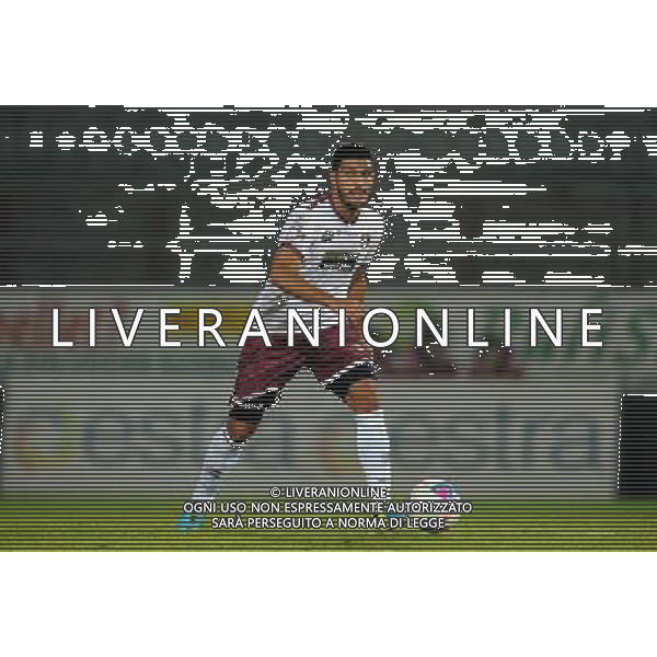 SALERNITANA CALCIO 2013-14 NELLA FOTO TUIA ALESSANDRO FOTO ROBERTO SETTONCE-AG ALDO LIVERANI SAS