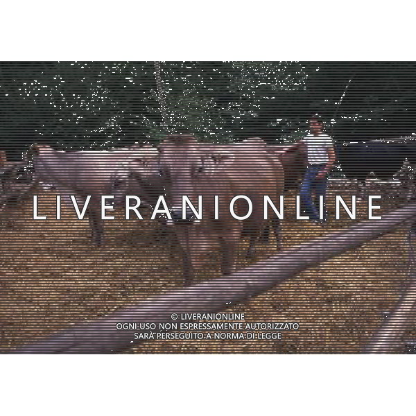 ARCHIVIO LIVERANI NELLA FOTO LA COMUNITA EXODUS DI DON ANTONIO MAZZI AG ALDO LIVERANI SAS