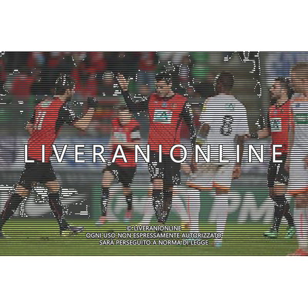 JOIE Julien FERET - 04.01.2014 - Rennes / Valenciennes - 32emeFinale Coupe de France - Photo : Vincent Michel / Icon Sport AG ALDO LIVERANI SAS ONLY ITALY