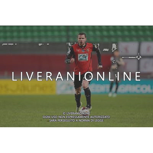 Sylvain ARMAND - 04.01.2014 - Rennes / Valenciennes - 32emeFinale Coupe de France - Photo : Vincent Michel / Icon Sport AG ALDO LIVERANI SAS ONLY ITALY