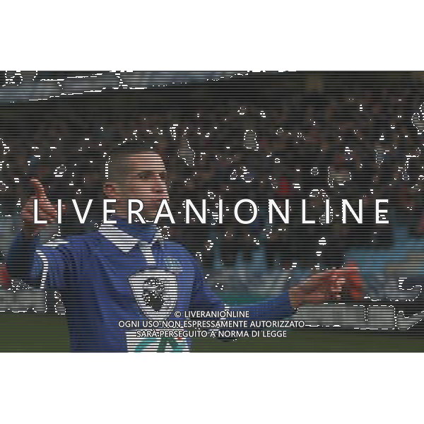 Joie Florian RASPENTINO - 05.01.2014 - Bastia / Evian Thonon - 32emeFinale Coupe de France - Photo : Michel Maestracci / Icon Sport AG ALDO LIVERANI SAS ONLY ITALY