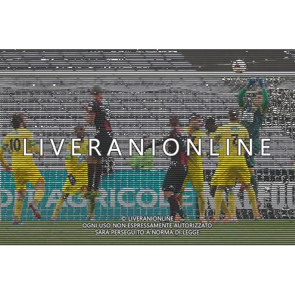 Erwin ZELAZNY - 05.01.2014 - Nantes / Nice - 32emeFinale Coupe de France Photo : Vincent Michel / Icon Sport AG ALDO LIVERANI SAS ONLY ITALY