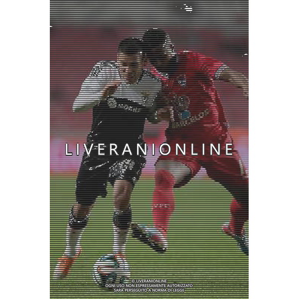 Maxi Pereira / Brito - 04.01.2014 - Benfica / Gil Vicente - Coupe du Portugal Photo : Carlos Rodrigues / Icon Sport AG ALDO LIVERANI SAS ONLY ITALY