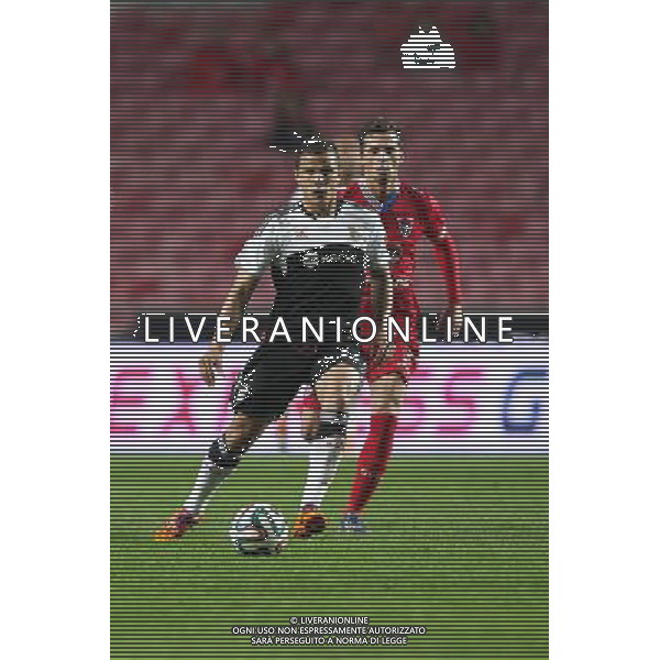 Lima - 04.01.2014 - Benfica / Gil Vicente - Coupe du Portugal Photo : Carlos Rodrigues / Icon Sport AG ALDO LIVERANI SAS ONLY ITALY