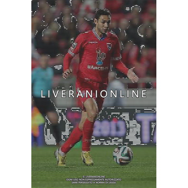Danielson - 04.01.2014 - Benfica / Gil Vicente - Coupe du Portugal Photo : Carlos Rodrigues / Icon Sport AG ALDO LIVERANI SAS ONLY ITALY